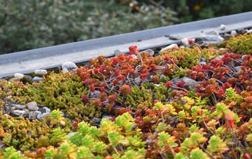 the cost of Whins Wood green roof installation