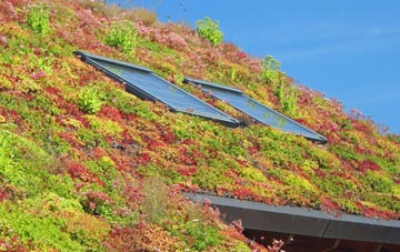 Whins Wood living roof systems